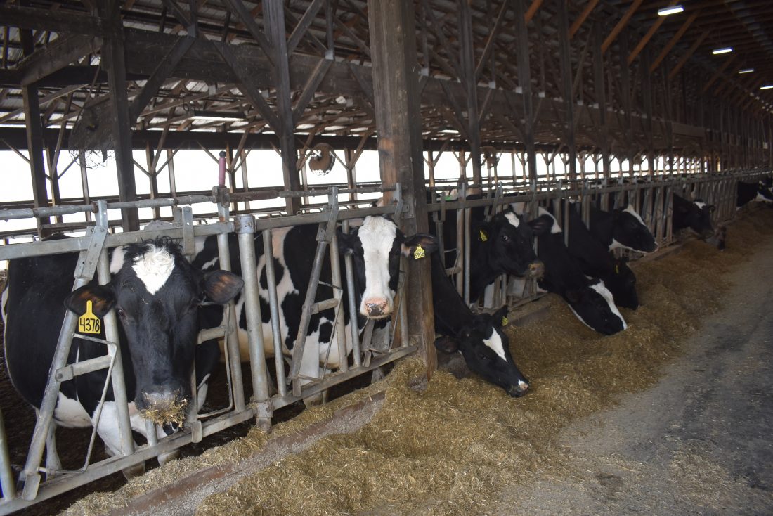Milk prices up, but increased costs still hurting farmers | News ...